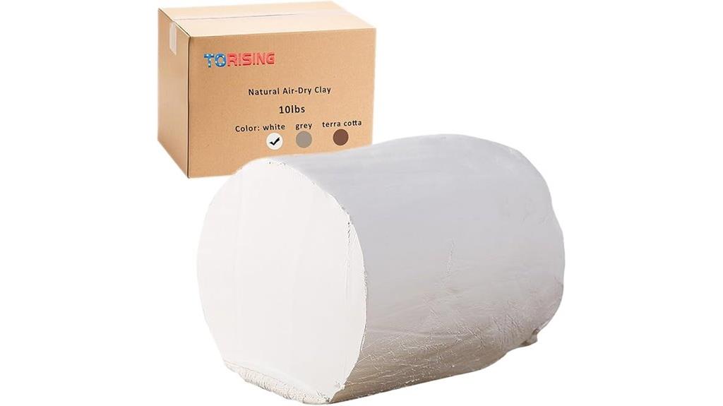 10 lb air dry clay