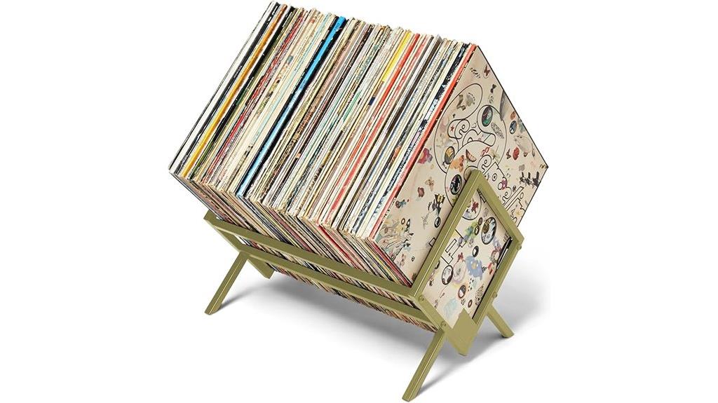 contemporary vinyl record organizer