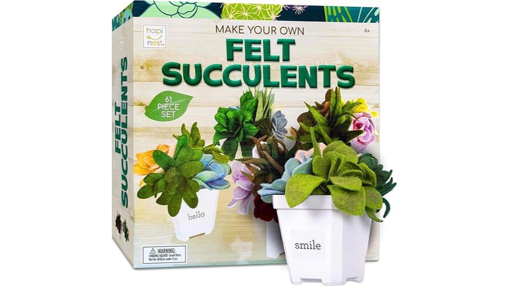 diy felt succulents kit