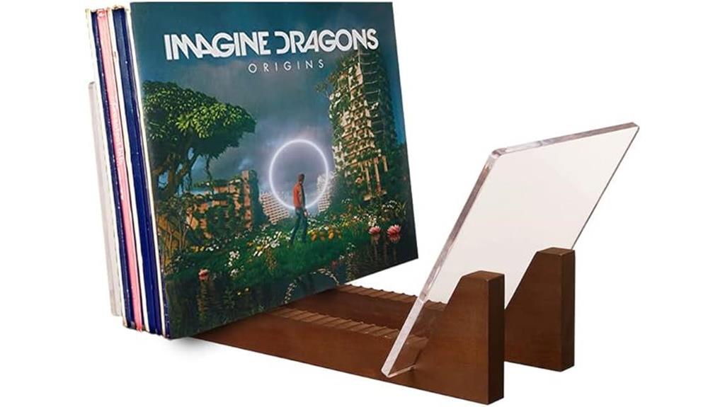 vinyl record storage organizer