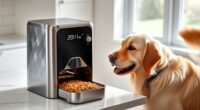 top automatic pet feeder reviews