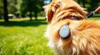 top pet gps trackers