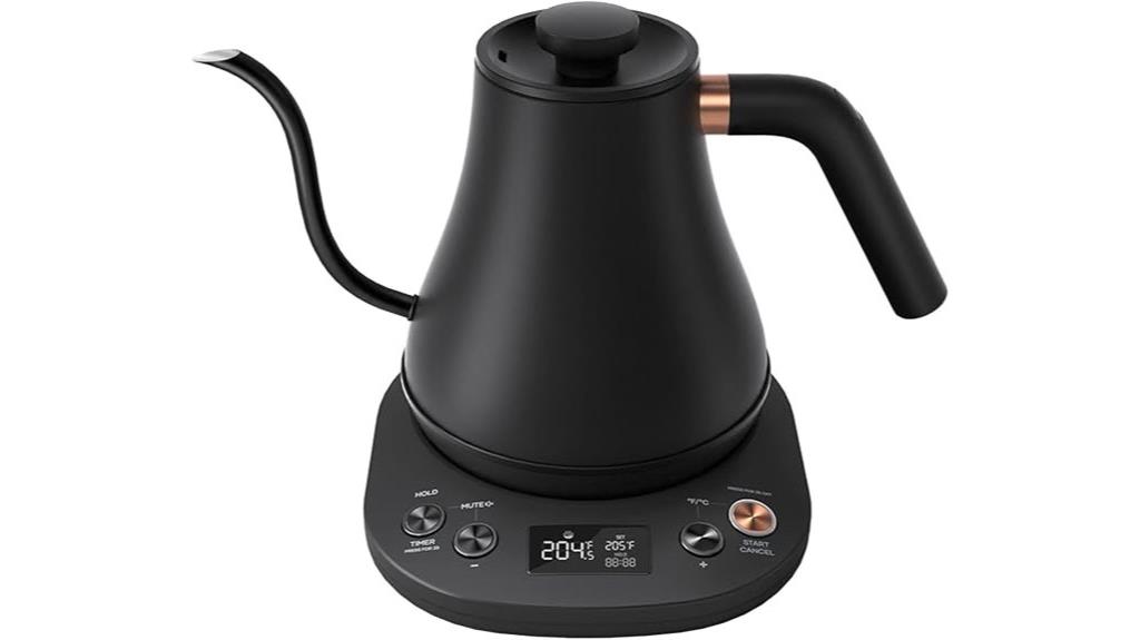 electric kettle with temperature control