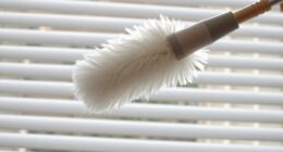 top blind dusters reviewed