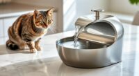 top cat water fountain choices
