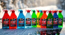 top winter windshield washer fluids