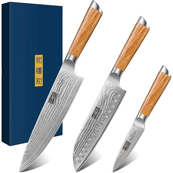 HOSHANHO Damascus 3-Piece Kitchen Knife Set