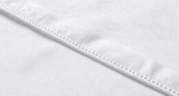 professional garment finishing techniques