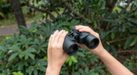 8 Best Binoculars for Birdwatching and Mindful Walks in 2026
