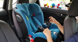 child safety seat disputes