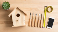 8 Best Woodworking Project Kits For Students In 2026