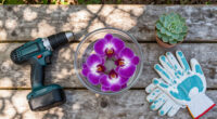 Costco’s $25 Floating Orchids Look Better Than A $500 Florist Arrangement