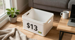 IKEA’s $13 Storage Gem Solved My Small Living Room Problems